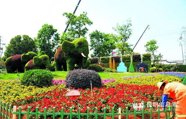 ZHW_6363-_副本 ZHW_6363-_副本