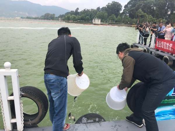 W020190604585539698507