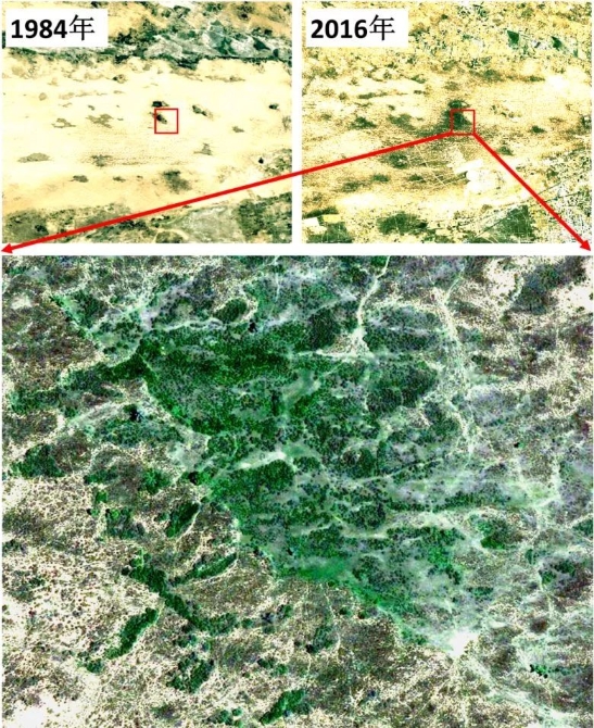 围观 | 中国是怎样拯救地球的?卫星遥感影像告诉你!