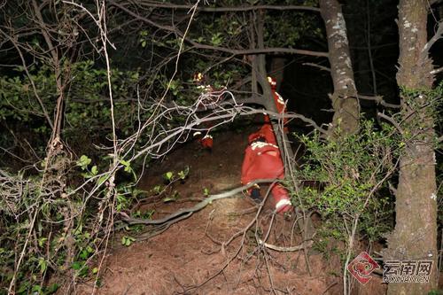 00300682383_e0e0f73c