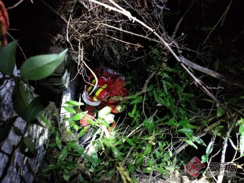 00300682384_56d95a99