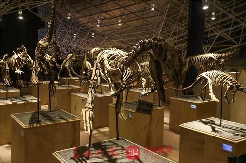 20190608131725TTDURTn