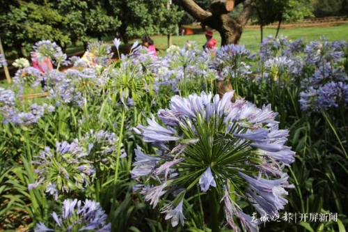 20190608104258MKD6TUm