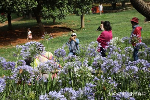 201906081043039VELKCm