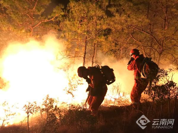 00300684618_a0eec59d