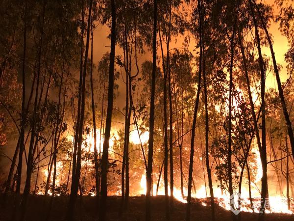 00300684631_d55dec51