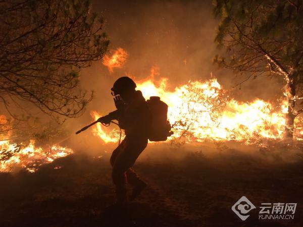 00300684620_245b6633