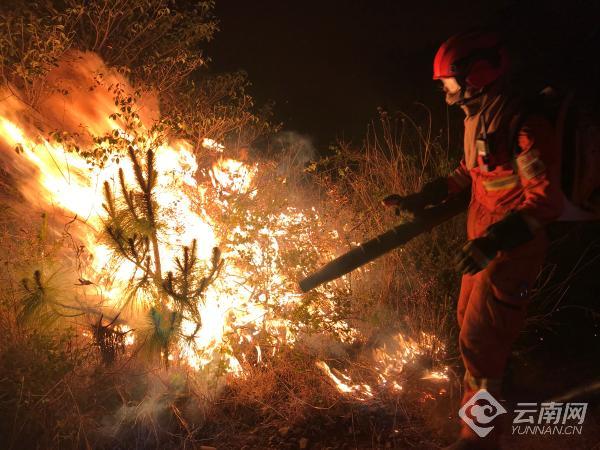 00300684619_91a890fd