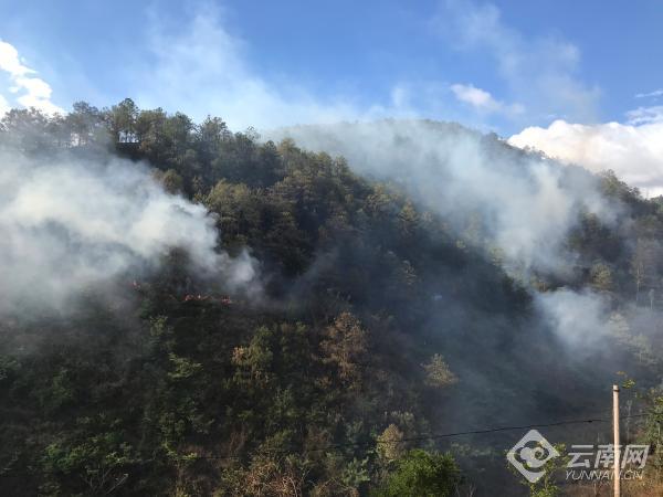 00300684633_5a9d9e37