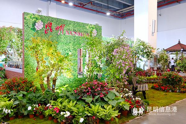 昆明展区 记者曹月 摄