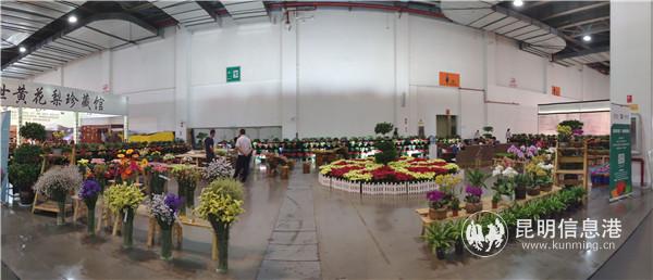 QQ图片20190613161000