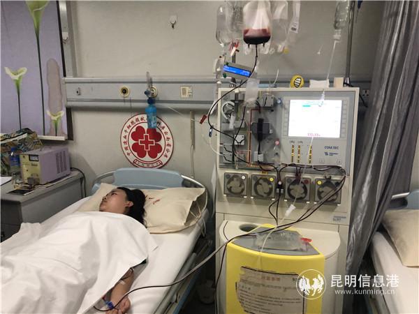 朱金凤成功捐出造血干细胞245ml