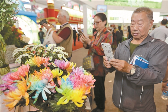 2019061404_res07_attpic_brief