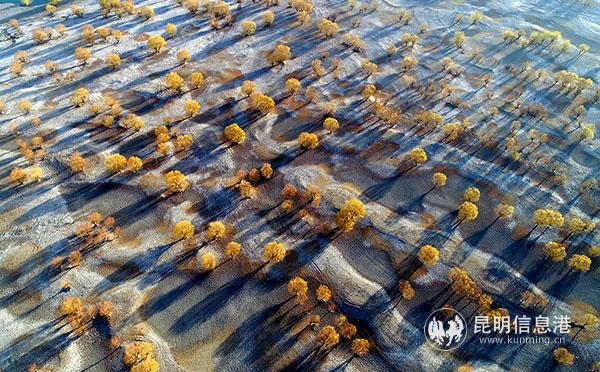 张志刚13888041315《滩涂》201804 西藏