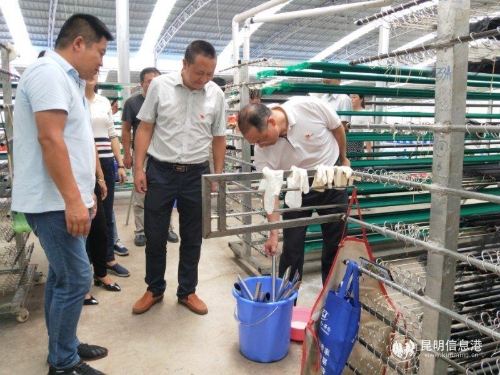 QQ图片20190619160231