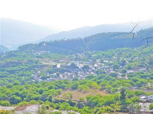 2019062407_res19_attpic_brief 2019062407_res19_attpic_brief