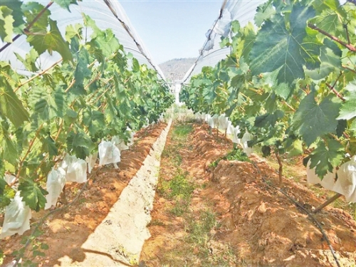 2019062407_res23_attpic_brief 2019062407_res23_attpic_brief