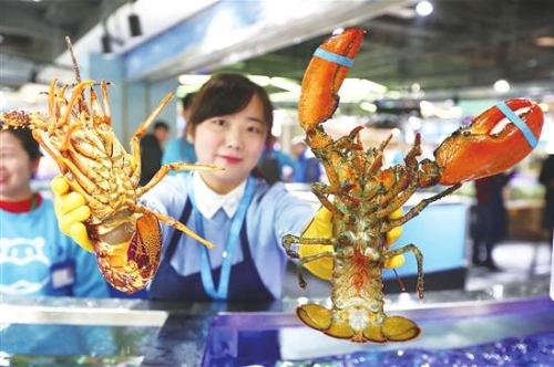 00300718118_4201d043