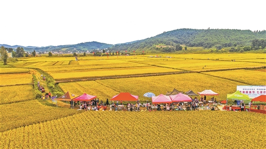 2019062706_res07_attpic_brief 2019062706_res07_attpic_brief