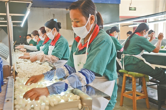 2019062707_res07_attpic_brief