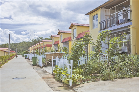 2019062708_res07_attpic_brief