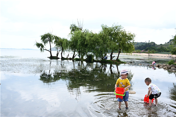 沙滩公园 沙滩公园