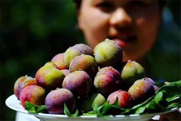 微信图片_20190710151638