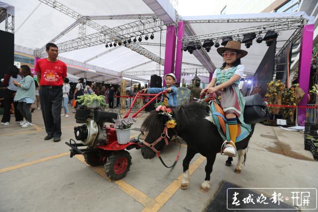 鲜花文创产品 汇集斗南摩登鲜花生活集市 (3).jpg