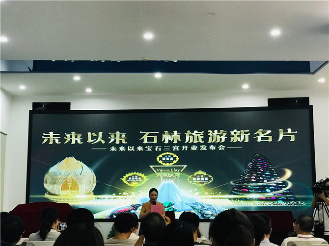 图一 发布会现场