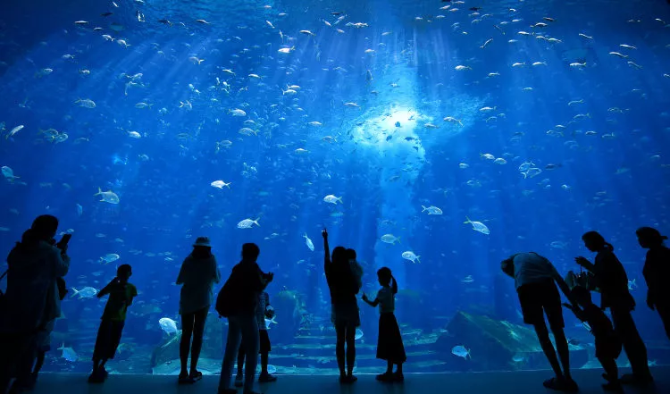 海南，你怎么这么好看！