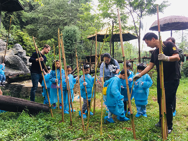 图4 将竹子插进土里面。