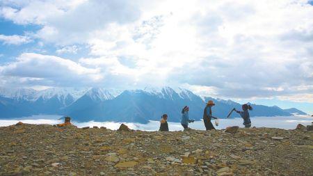 f44d3075897a1e62a59f32