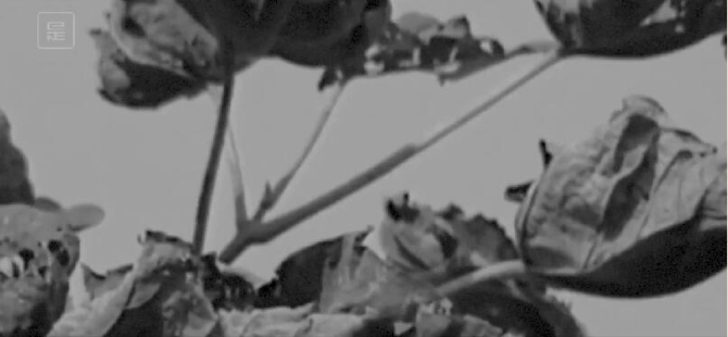 QQ截图20190729191503