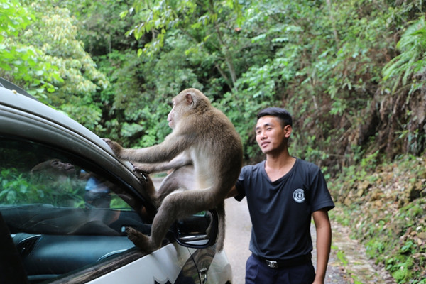 cad0e0e2adeda2cbe27d84f0b5f9790 cad0e0e2adeda2cbe27d84f0b5f9790