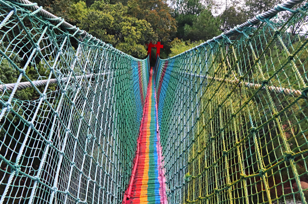 图片五 彩虹桥 图片五 彩虹桥