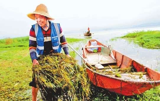 QQ截图20190805074658