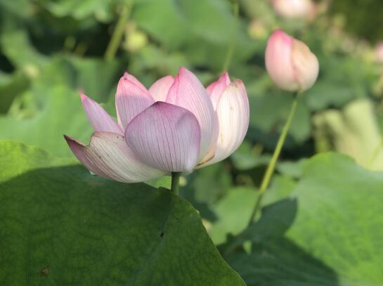 QQ截图20190805133603 QQ截图20190805133603