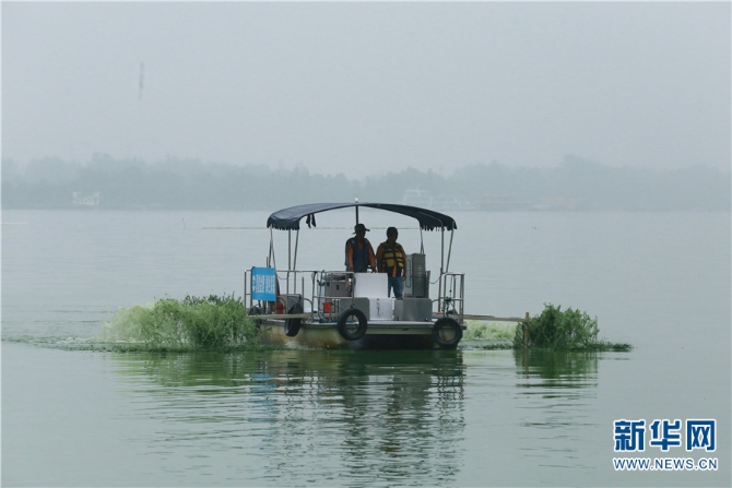 3按照工作安排,每天早上八点,张文建要和其他打捞工人分别乘船进入滇池,巡查重点水域,定点打捞蓝藻。随着工作的深入,渐渐地,他觉得环境治理不是那么简单就能完成的。 3按照工作安排,每天早上八点,张文建要和其他打捞工人分别乘船进入滇池,巡查重点水域,定点打捞蓝藻。随着工作的深入,渐渐地,他觉得环境治理不是那么简单就能完成的。