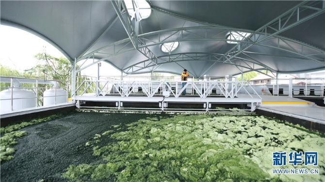 5但随着时间推移,张文建开始感到枯燥和乏味,每天手工打捞,不仅耗时长,而且收效甚微。 5但随着时间推移,张文建开始感到枯燥和乏味,每天手工打捞,不仅耗时长,而且收效甚微。