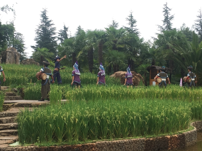 哈尼民族舞蹈表演 哈尼民族舞蹈表演