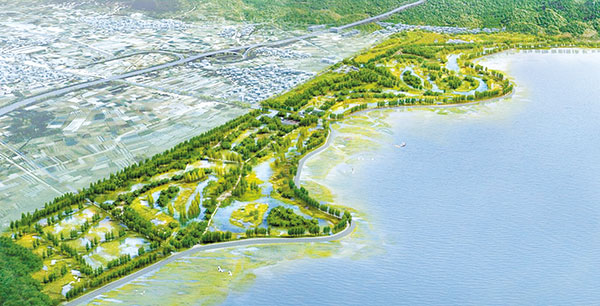 南岸湿地效果图