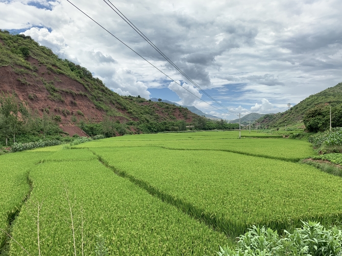 微信图片_20190814142113