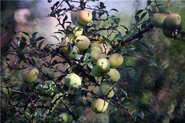 1883931058 1883931058