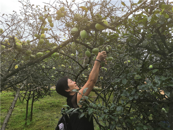 1505060343 1505060343