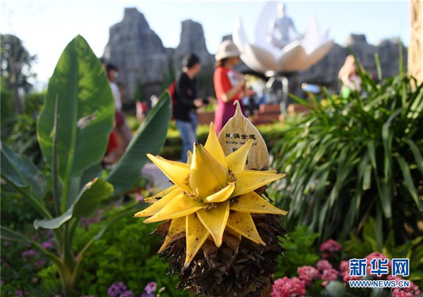 1124890244_15661296069511n