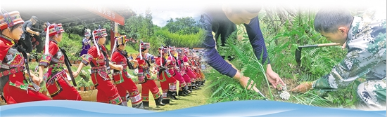 QQ截图20190820082249 QQ截图20190820082249