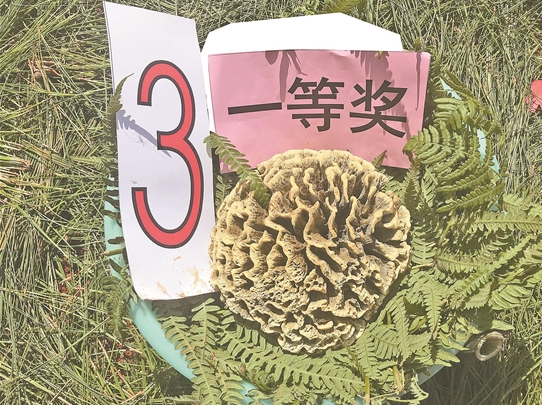 QQ截图20190820082300 QQ截图20190820082300