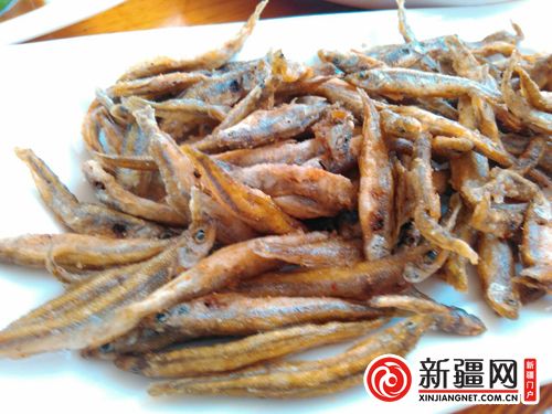 5QQ图片20190822172413