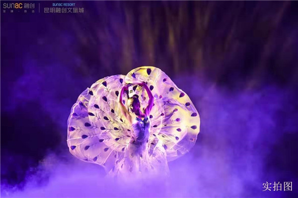 《雀之灵》舞蹈演出 《雀之灵》舞蹈演出