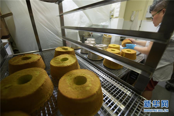 1124917172_15666675787391n 1124917172_15666675787391n